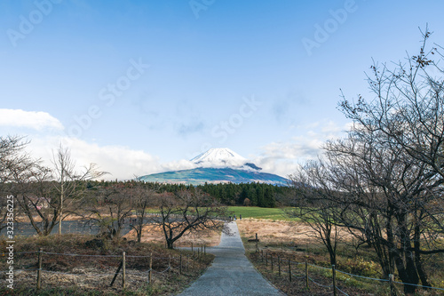 富士山