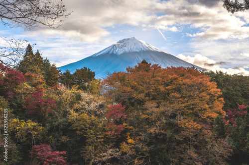 富士山と紅葉