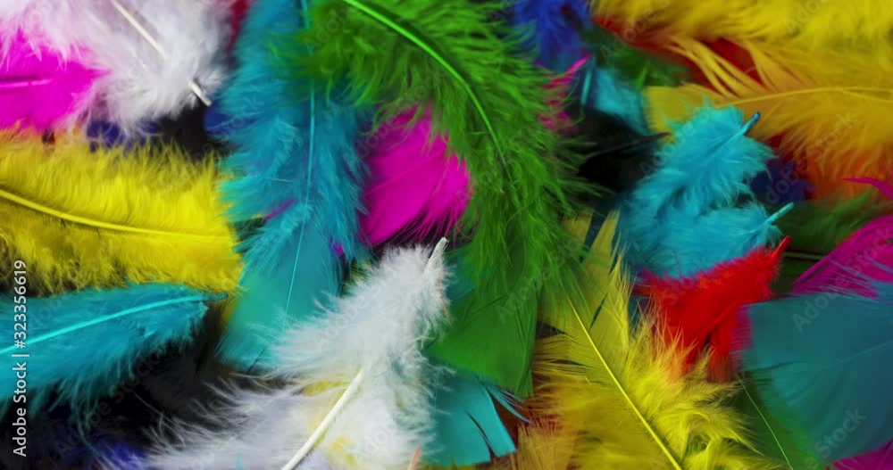 Rotating pile of brightly colored feathers. Rotating pile of brightly colored feathers.