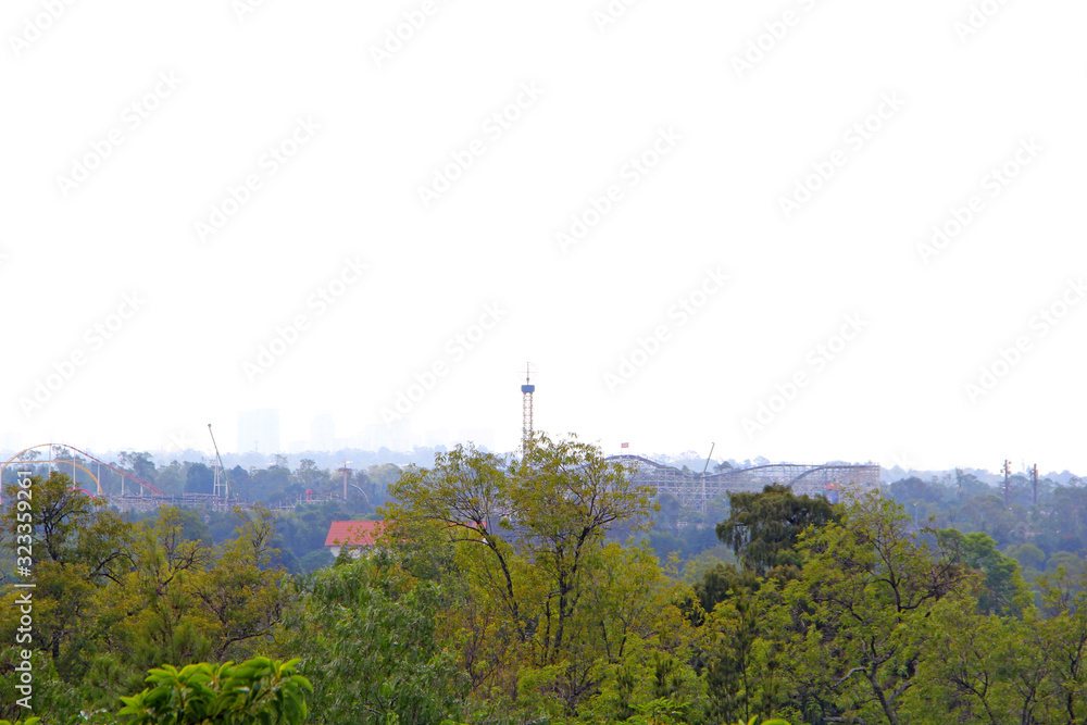 Obraz premium Forest