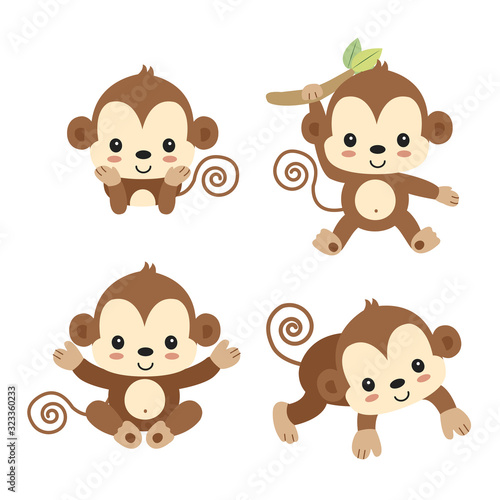 Little monkey cartoon.