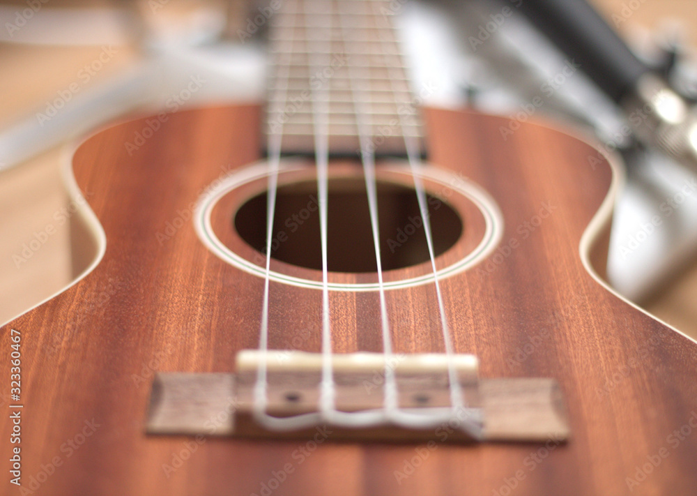 Fototapeta premium Ukulele