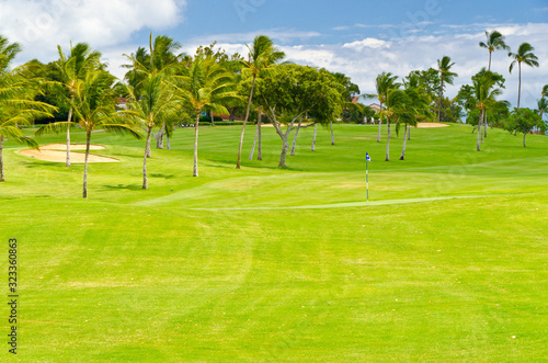 Golf place with gorgeous green and palm tree over blue sky with white clouds view