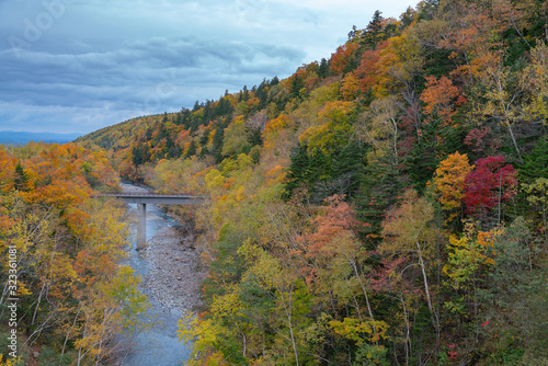Colour full mountain during Autumn season change, Hokkaido Japan natural landscape background