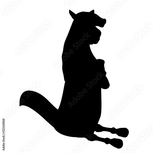 Pony
