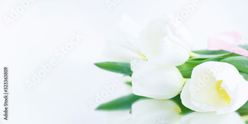 White tulips on a white background are reflected on a mirror table. Congratulation concept card for Women's Day, mother's day, spring flowers, banner, greeting. Copy space