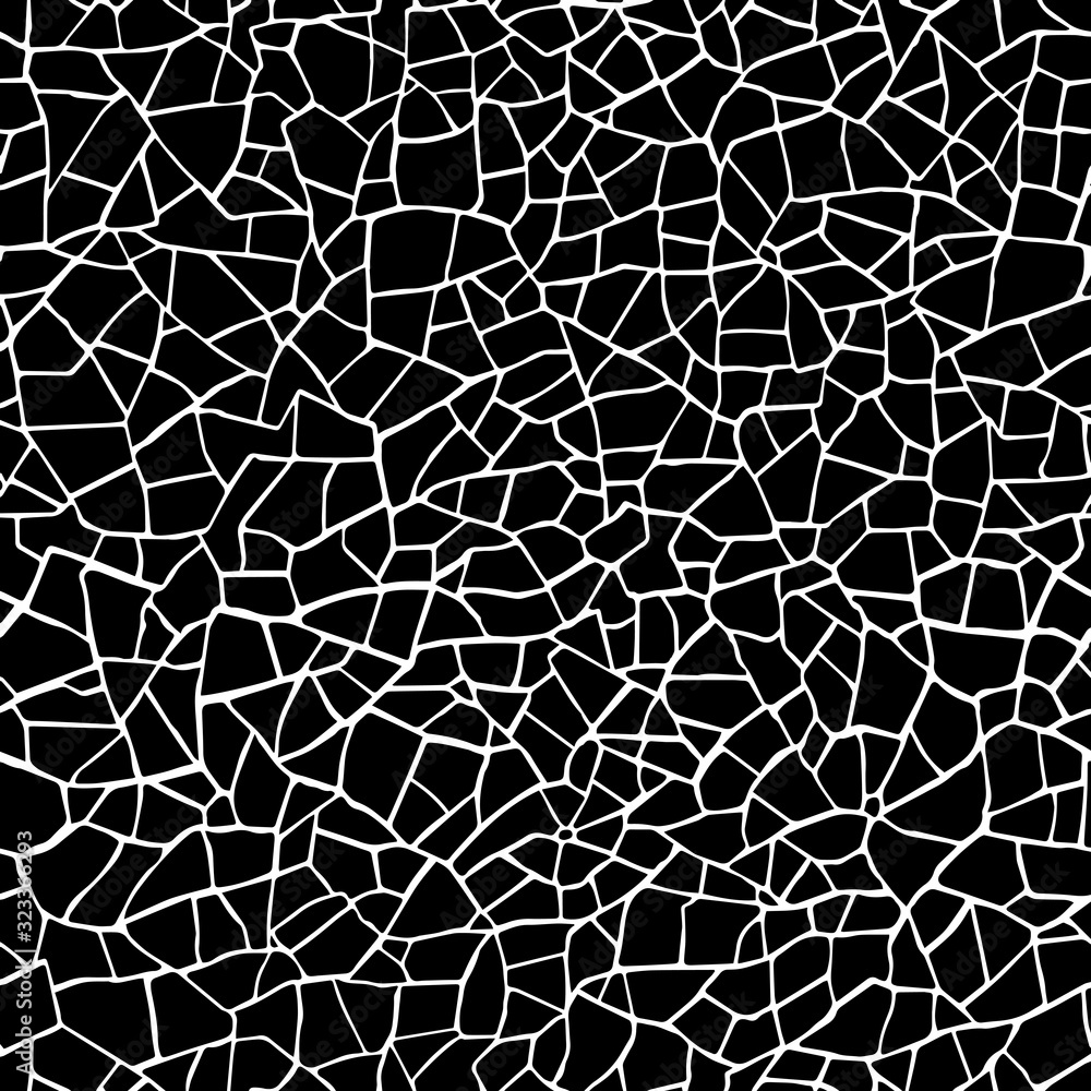 Seamless pattern.The cracks texture white and black. Vector background. For design and decorate path, wall, backdrop. Seamless pattern.The cracks texture white and black. Vector background. For design and decorate path, wall, backdrop.