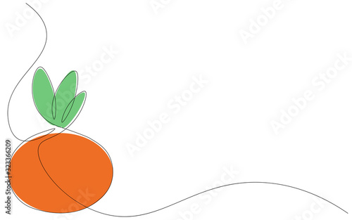 Orange mandarin fruit line drawing vector illustration