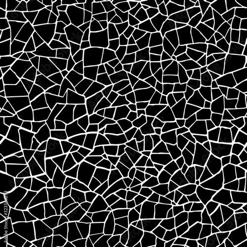  Seamless pattern.The cracks texture white and black. Vector background. For design and decorate path, wall, backdrop. 