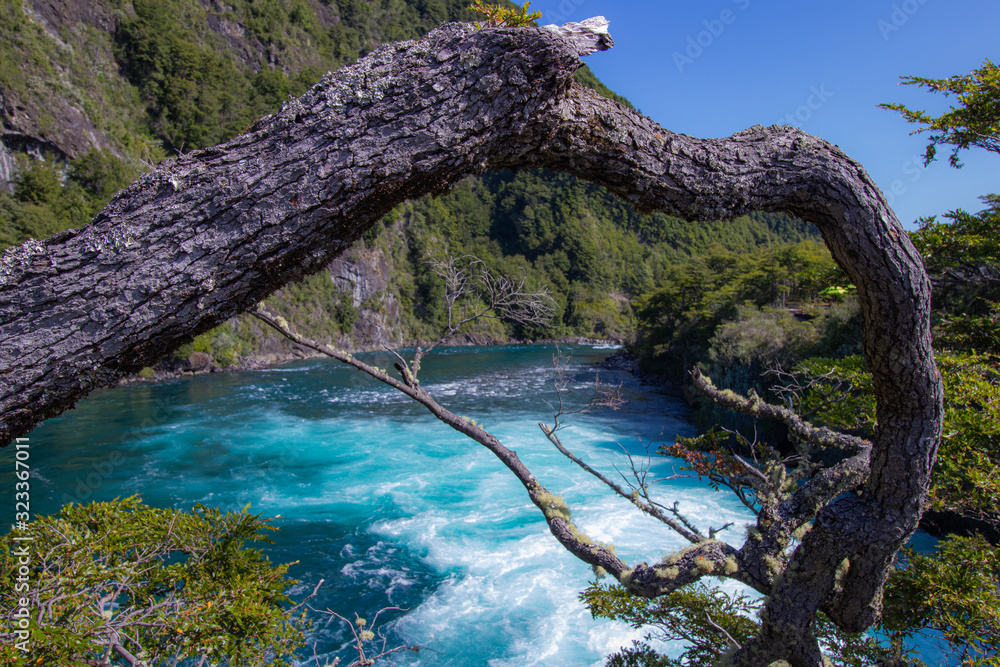 Paisaje de Petrohue con rama de árbol en el primer plano y rio de fondo