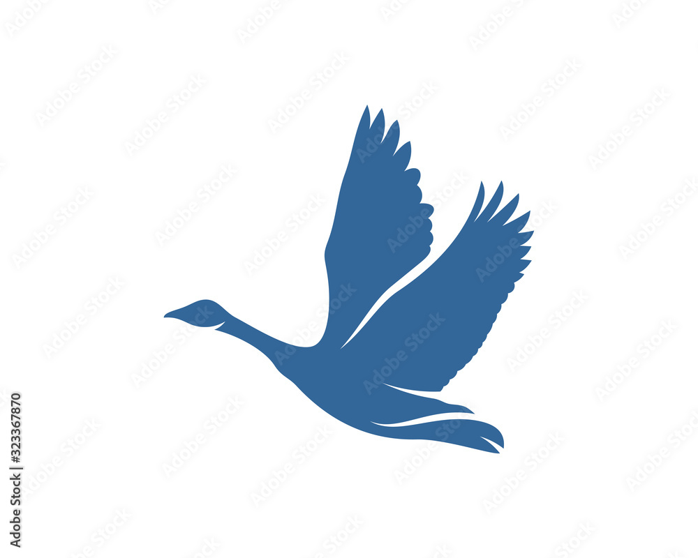 Swan logo vector design template, Silhouette Swan logo, Illustration Swan logo vector design template, Silhouette Swan logo, Illustration