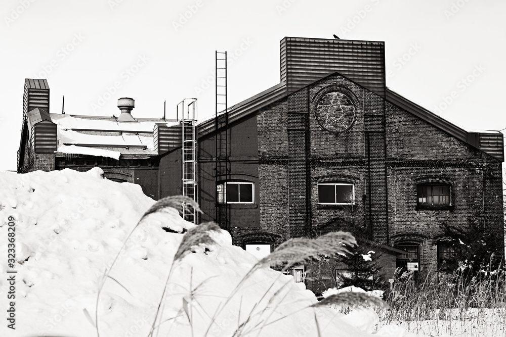 Fototapeta premium monochrome