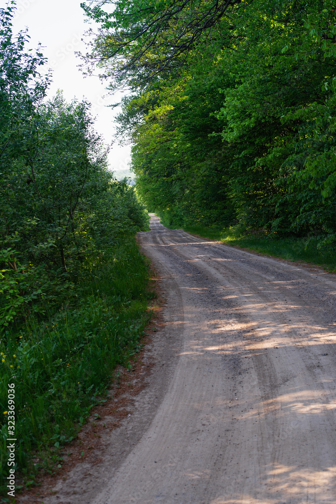 Dirt road on the outskirts of the forest Dirt road on the outskirts of the forest