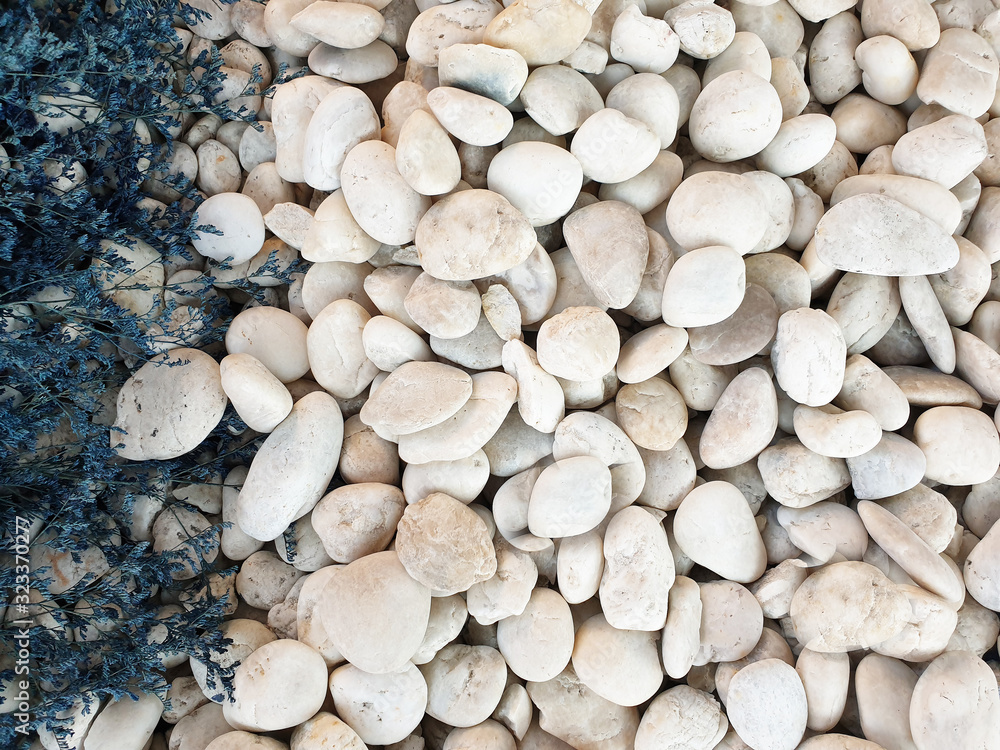 white pebbles stone with blue, orange and brown grass flowers texture and background
