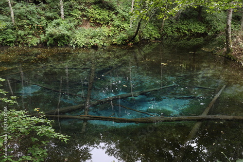 Fototapeta Naklejka Na Ścianę i Meble -  【北海道】神の子池 | 夏の道東、阿寒摩周湖国立公園にあるコバルトブルーの美しい池