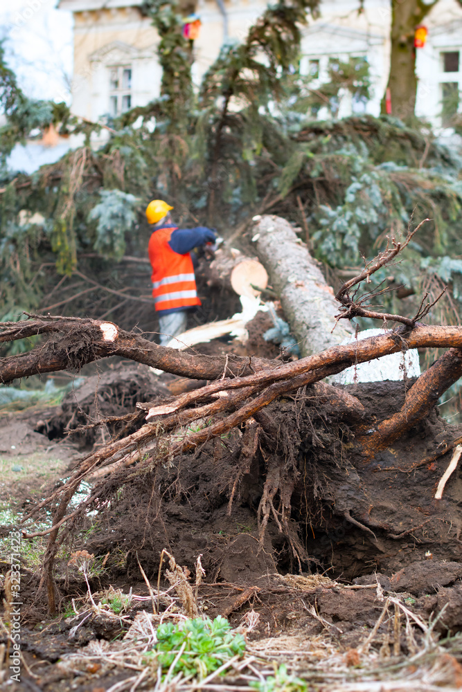 custom made wallpaper toronto digitalworker using saw