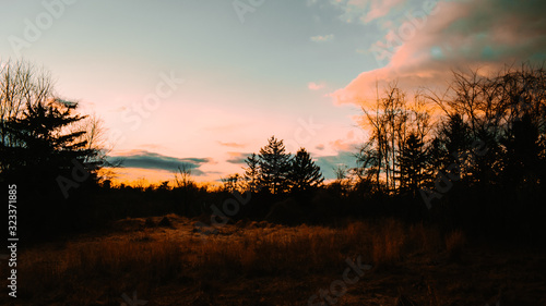 Orange and Blue Sunset in a Field © HRTNT Media