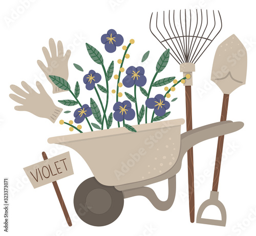 Vector illustration of colorful garden wheel barrow with violet flowers, rakes, spade, gloves. Cartoon style spring or summer picture isolated on white background. Gardening themed concept..