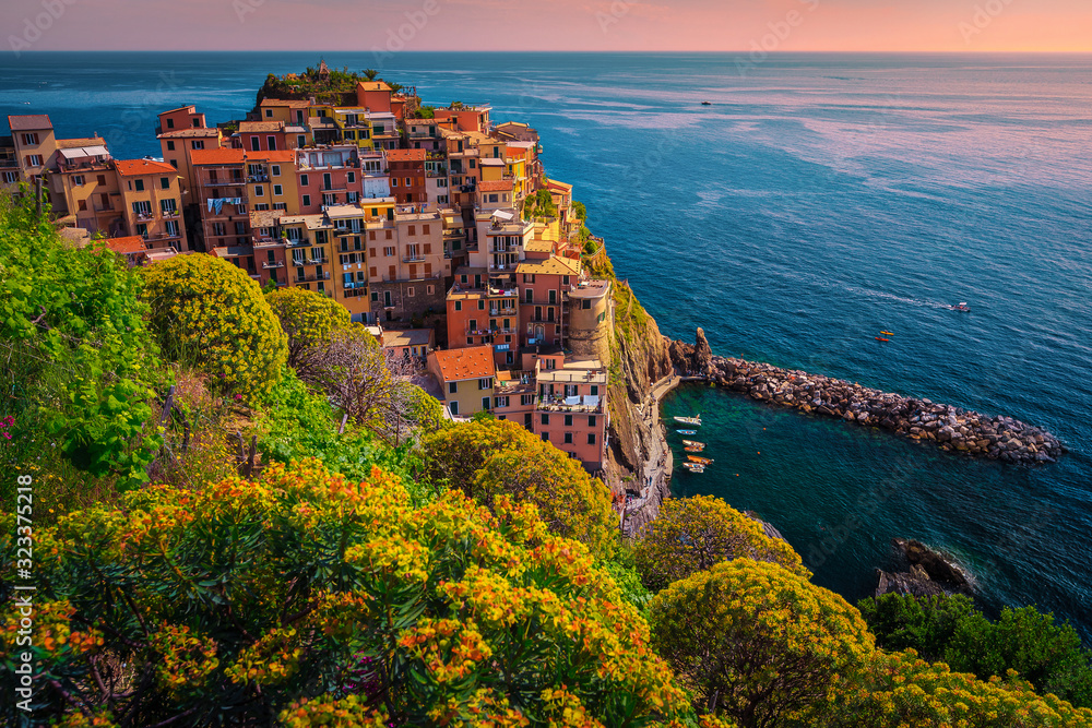 Mediterranean flowers and colorful houses on the cliffs, Manarola, Italy