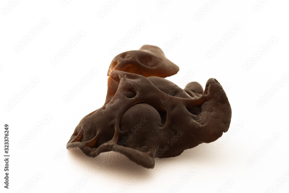 Wood ear mushroom on white background Wood ear mushroom on white background