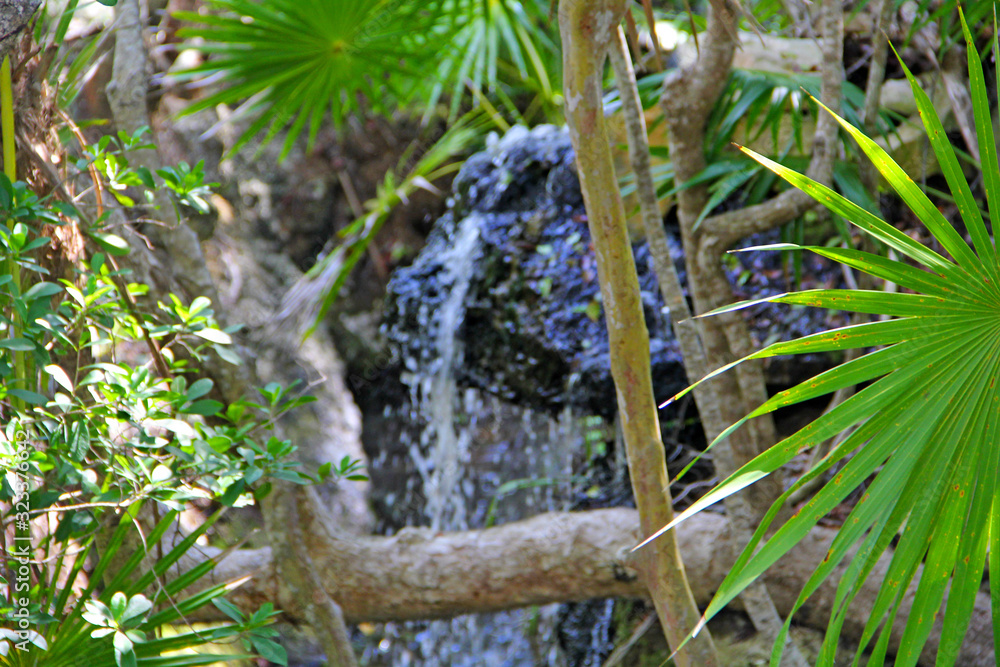 Obraz premium Nature