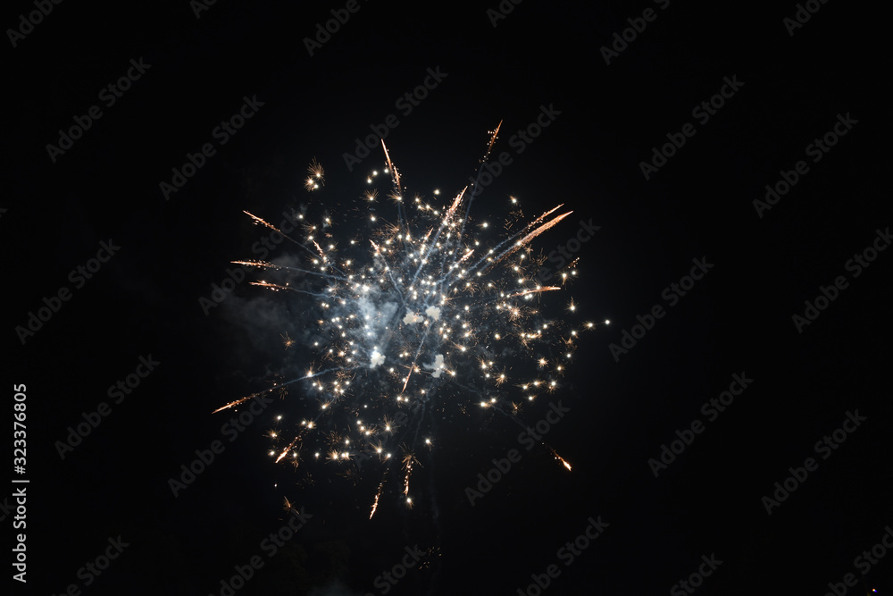 Obraz premium A Streak of Fireworks on the Fourth of July