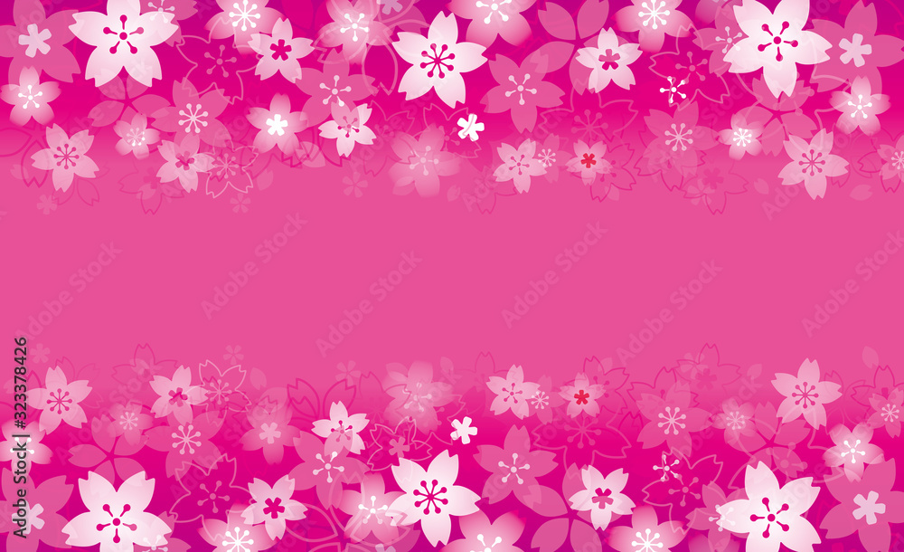 ピンクの桜 背景、フレーム