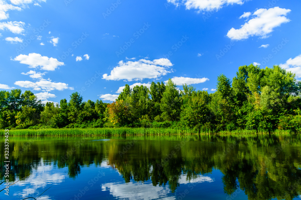 Summer landscape with the green trees and river