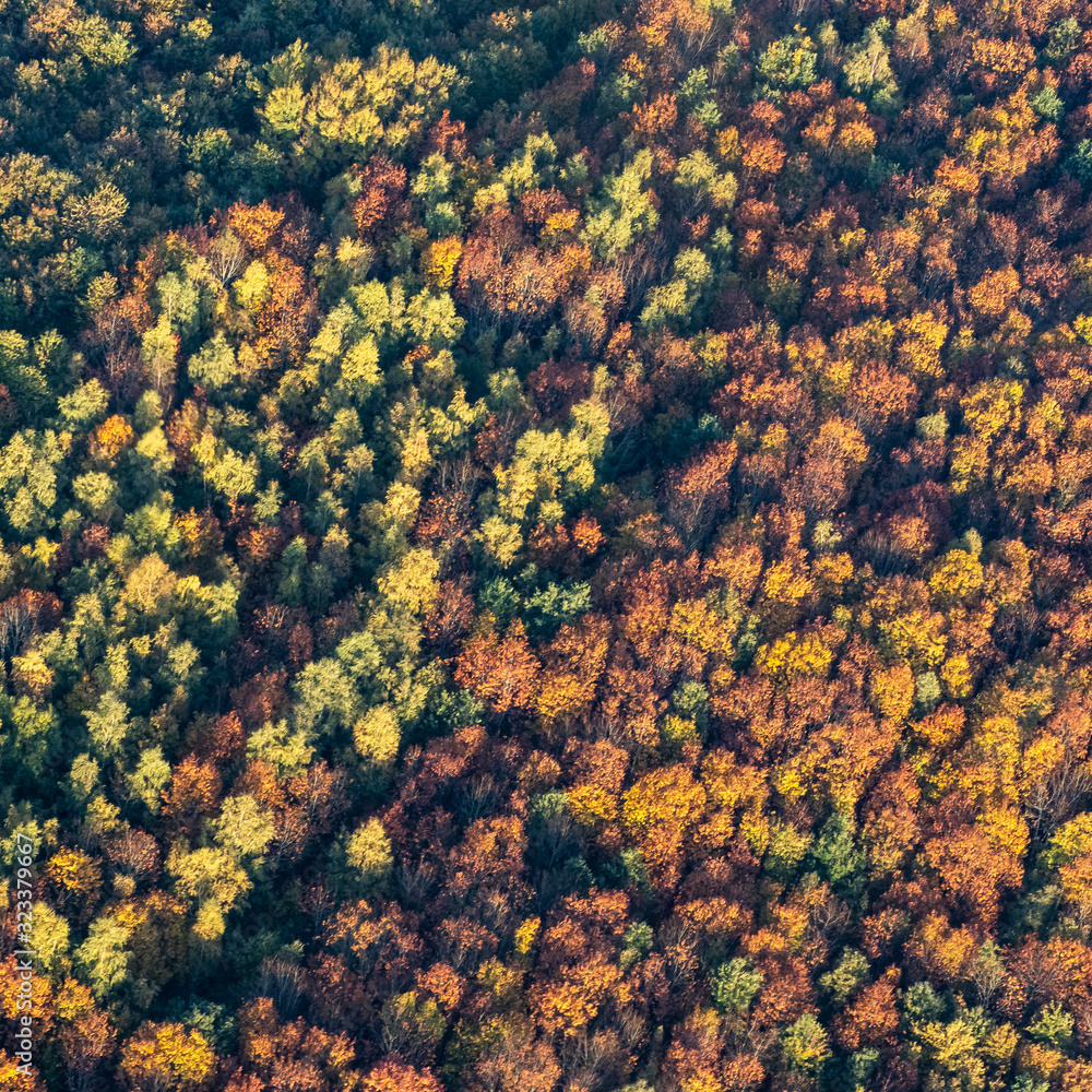 vue aérienne de la forêt à l'automne à Villarceaux dans le Val d'Oise en France