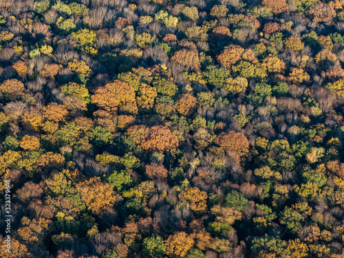 vue aérienne de la forêt à l'automne à Villarceaux dans le Val d'Oise en France © Francois