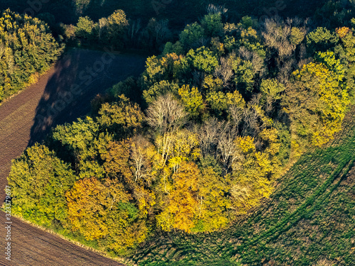 vue aérienne de la forêt à l'automne à Villers-en-Arthies dans le Val d'Oise en France
