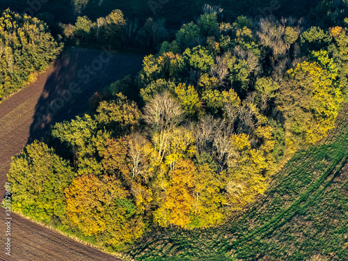 Fotografía vue aérienne de la forêt à l'automne à Villers-en-Arthies dans le Val d'Oise en