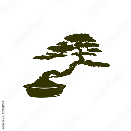 Bonsei logo vector design template, Silhouette Bonsei logo, Illustration
