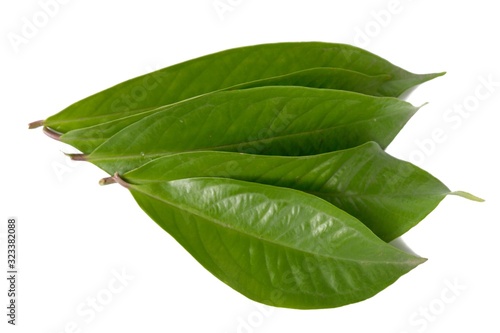 Fresh green water guava leaves isolated on a white background