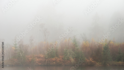 Beautiful mody Autumn Fall landscape of woodland with mist fog during early morning