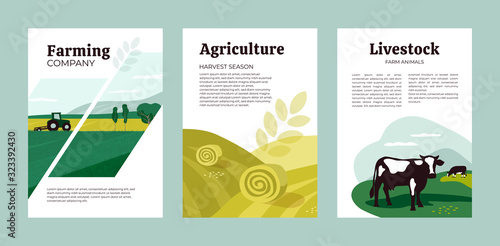 Set of posters with agriculture, farming and livestock. Vector illustrations of tractor, hayfield, hay stack rolls, farm animals and cows in pasture. Template for banner, cover, flyer, print, brochure