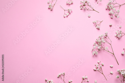 Beautiful floral composition with gypsophila on pink background, flat lay. Space for text © New Africa