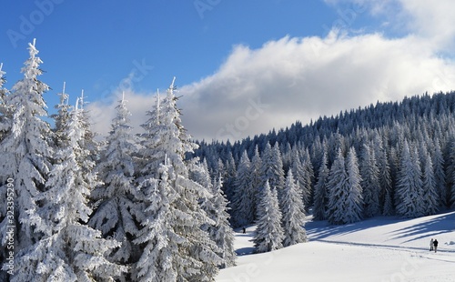 mountain landscape in winter on snow © oljasimovic