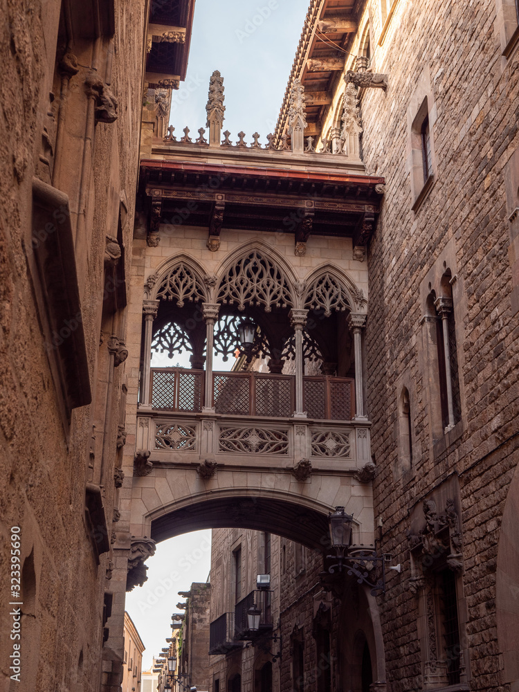 Bishop's Bridge in the Gothic Quarter of Barcelona