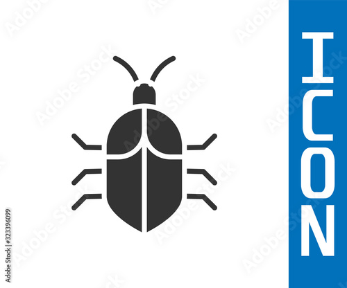 Grey System bug concept icon isolated on white background. Code bug concept. Bug in the system. Bug searching. Vector Illustration