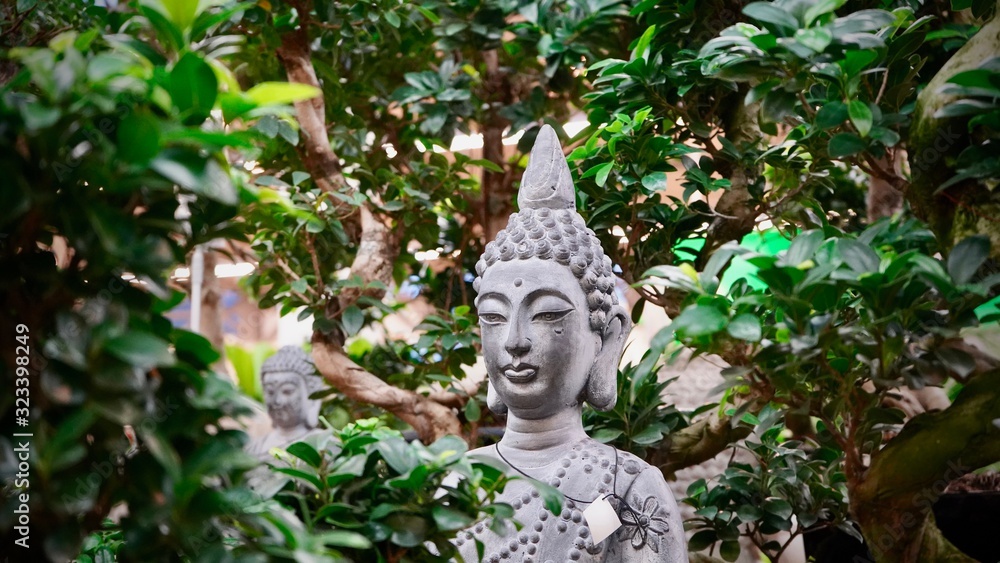 Beautiful buddha statue in bonsai forrest. Enlightenment concept.