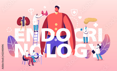 Endocrinology, Hormone Diseases and Disbalance Concept. Medicine and Biology Endocrine System Branch. Doctors and Patient Treatment Poster Banner Flyer Brochure. Cartoon Flat Vector Illustration