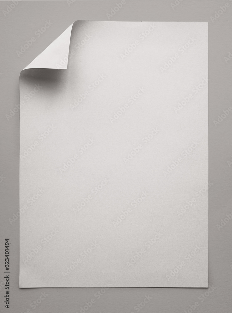 Vertical Empty White Paper with Folded Corner Isolated on Grey Background