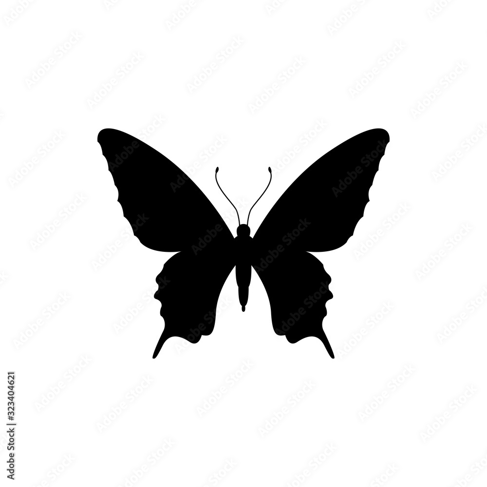 butterfly butterfly
