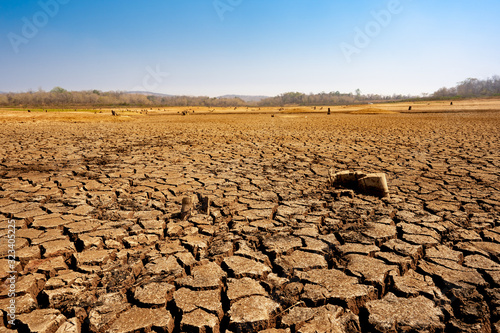 cracked earth from arid drought weather in dam or river, hot summer nature and warming climate environment