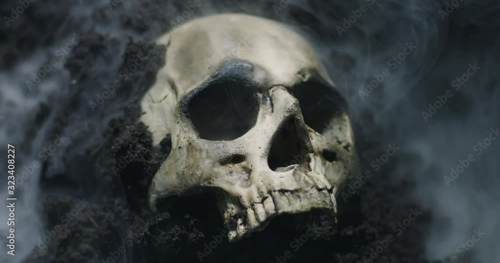 Skull of a dead man in on the ground Skull of a dead man in on the ground