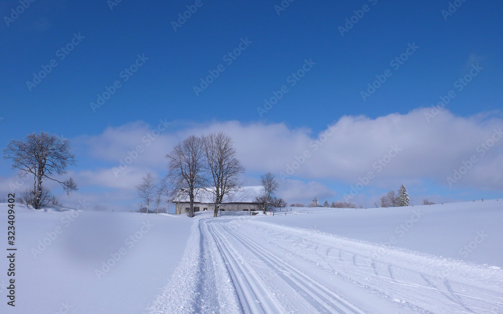 Obraz premium Grande Traversée du Jura