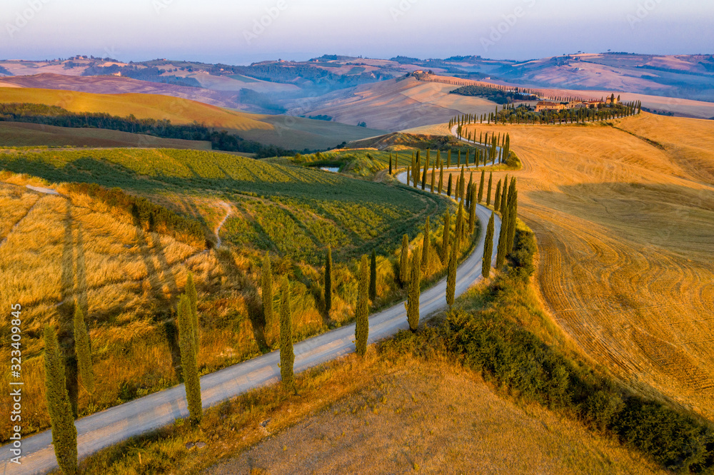 Tuscany countryside farm landscape, cypresses, trees, vineyards, winding roads and mountain slopes. Rural sunset fields, hills and meadow in Italy, Europe
