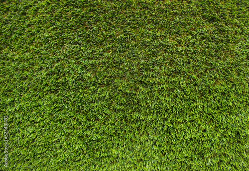 Artificial green field background. Texture of vivid green grass. Ever green grass.  photo