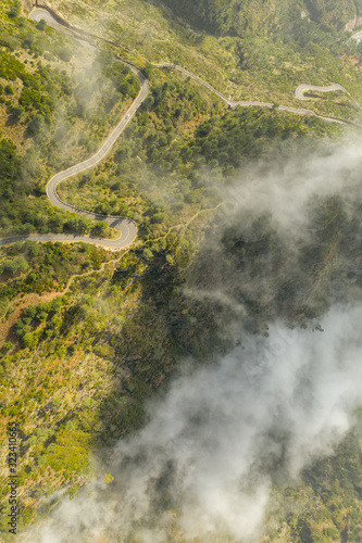   ber den Wolken Madeira Wald